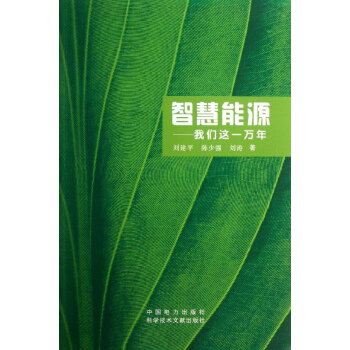 智慧能源