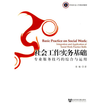 社会工作实务基础—专业服务技巧的综合与运用 pdf epub mobi 电子书 下载