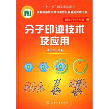 分子印迹技术及应用 pdf epub mobi 电子书 下载