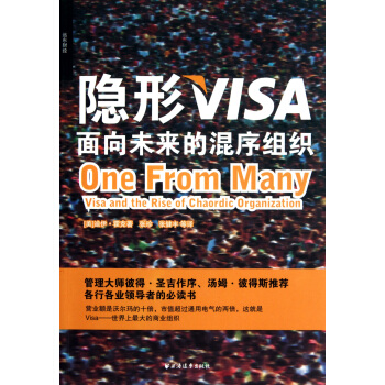 隐形VISA(面向未来的混序组织) pdf epub mobi 电子书 下载