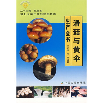 滑菇与黄伞生产全书 pdf epub mobi 电子书 下载