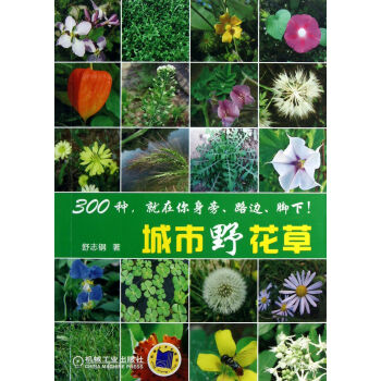 城市野花草 pdf epub mobi 電子書 下載