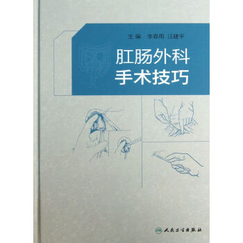 肛肠外科手术技巧(精) pdf epub mobi 电子书 下载