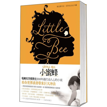 小蜜蜂 pdf epub mobi 电子书 下载