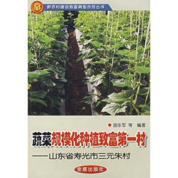 蔬菜規模化種植緻富第一村山東省壽光市三元硃村