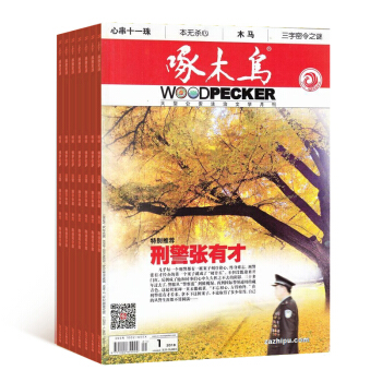 啄木鸟杂志 全年12期订阅 2018年8月起订 杂志铺