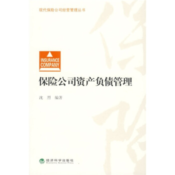 保險公司資産負債管理 pdf epub mobi 電子書 下載