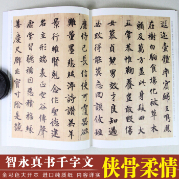 曆代碑帖法書選精粹 智永草書韆字文 草書毛筆篆書法字帖書譜墨跡中華經典彩色放大本碑帖 pdf epub mobi 電子書 下載