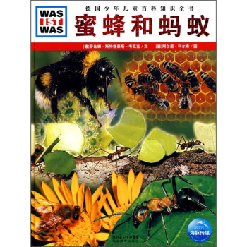 什麼是什麼：蜜蜂和螞蟻 [7-14歲] pdf epub mobi 電子書 下載