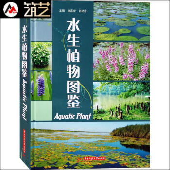 水生植物圖鑒 濕地公園彆墅庭院私傢花園 生態水景觀設計中的 水生植物應用介紹賞析書籍 pdf epub mobi 電子書 下載