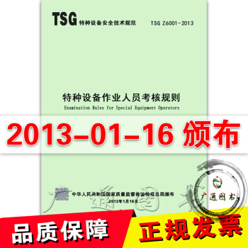 TSG Z6001-2013特種設備作業人員考核規則 pdf epub mobi 電子書 下載