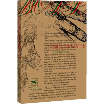 伯裏曼人體結構全書 pdf epub mobi 電子書 下載