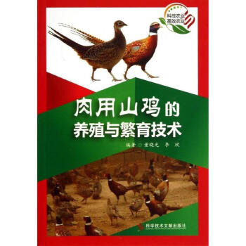 肉用山鸡的养殖与繁殖技术