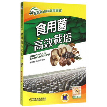 食用菌高效栽培/高效种植致富直通车 pdf epub mobi 电子书 下载