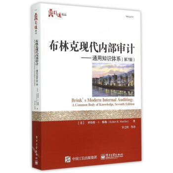 布林克现代内部审计--通用知识体系(第7版)