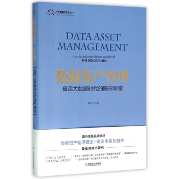 数据资产管理(盘活大数据时代的隐形财富)/大数据科学丛书 pdf epub mobi 电子书 下载