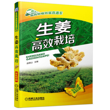 生薑高效栽培 生薑栽培技術 生薑病蟲草害診斷與防治技術 蔬菜種植技術現代生態農業種植栽培 pdf epub mobi 電子書 下載