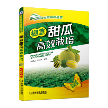 正版 高效种植技术书籍 棚室甜瓜高效栽培（高效种植致富直通车） pdf epub mobi 电子书 下载
