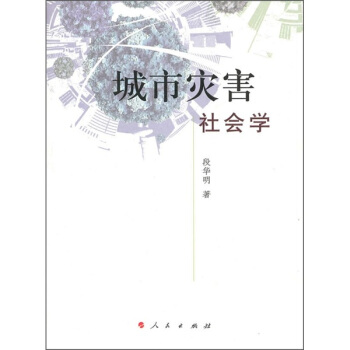 城市灾害社会学 pdf epub mobi 电子书 下载
