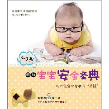 图解宝宝安全圣典（0-3岁） pdf epub mobi 电子书 下载