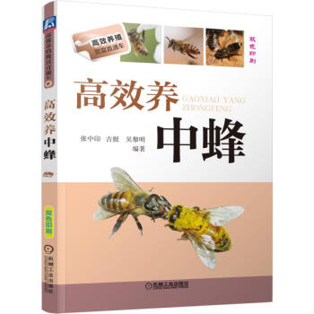 养蜂书籍 高效养中蜂 中蜂饲养手册中蜂养殖实用技术 蜜蜂养殖技术大全养殖蜜蜂书 养蜂技术