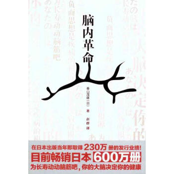 脑内革命 pdf epub mobi 电子书 下载