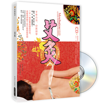 艾炙 pdf epub mobi 电子书 下载