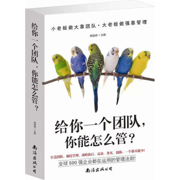 給你一個團隊，你能怎麼管？（平裝）打造團隊 管理製度 戰略執行全球500強都在用的管理法則 pdf epub mobi 電子書 下載