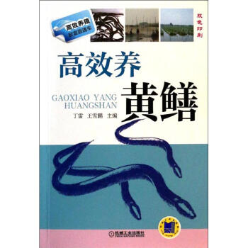 高效养黄鳝 pdf epub mobi 电子书 下载