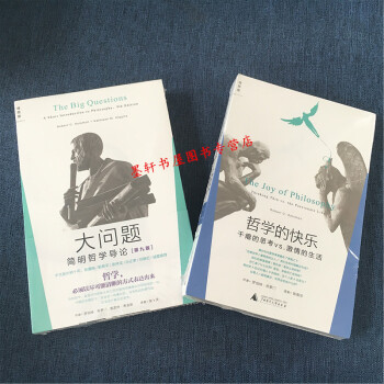 理想國 套裝共2冊：大問題：簡明哲學導論（9版）+哲學的快樂：乾癟的思考 羅伯特·所羅門哲學書 pdf epub mobi 電子書 下載