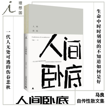 理想国： 人间卧底 马良 著 广西师范大学出版社 pdf epub mobi 电子书 下载