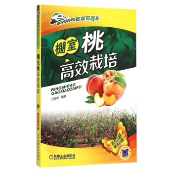包邮 棚室桃栽培 桃种植技术大全集 桃树栽培技术书 大棚种植桃 水蜜桃书 pdf epub mobi 电子书 下载