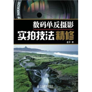 數碼單反攝影實拍技法精修