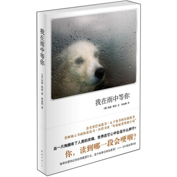 我在雨中等你（新版） pdf epub mobi 電子書 下載
