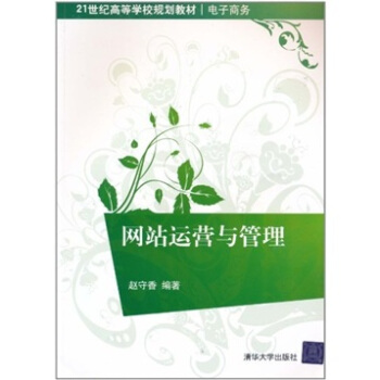 网站运营与管理 pdf epub mobi 电子书 下载