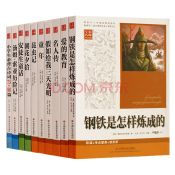 中小学基础教育读物语文新课标 爱的教育+昆虫记+名人传+假如给我三天光明等 总十册