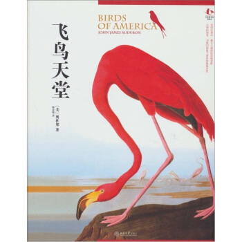 飛鳥天堂 pdf epub mobi 電子書 下載