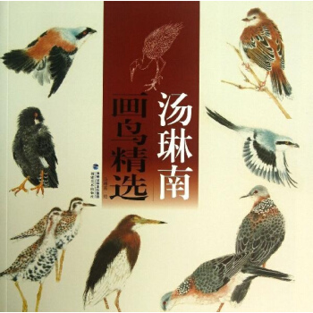 湯琳南畫鳥精選