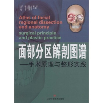 面部分区解剖图谱：手术原理与整形实践 pdf epub mobi 电子书 下载