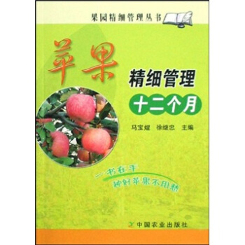 蘋果精細管理十二個月 pdf epub mobi 電子書 下載