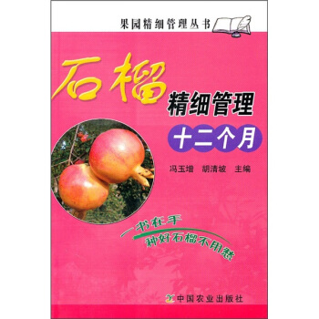 石榴精细管理十二个月 pdf epub mobi 电子书 下载