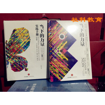 現貨套裝（兩冊） 當下的力量+當下的力量實踐手冊 白金版（精裝）當下的力量套裝 pdf epub mobi 電子書 下載