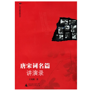 大学名师讲课实录：唐宋词名篇讲演录（含CD） 王兆鹏 著 广西师范本社 pdf epub mobi 电子书 下载
