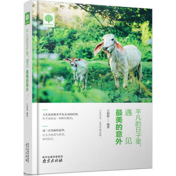 平凡的日子里,遇见最美的意外 pdf epub mobi 电子书 下载