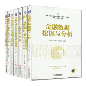 银行业信息科技风险管理高层指导委员会银行业信息化丛书 金融数据 商业银行 套装共7本 pdf epub mobi 电子书 下载
