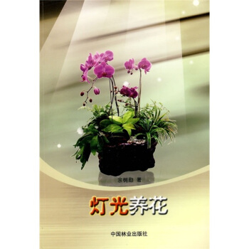 灯光养花 pdf epub mobi 电子书 下载