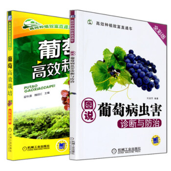 正版现货 葡萄高效栽培 葡萄种植书籍+葡萄病虫害防治技术书 现代农业科技图书 生态农业书 pdf epub mobi 电子书 下载