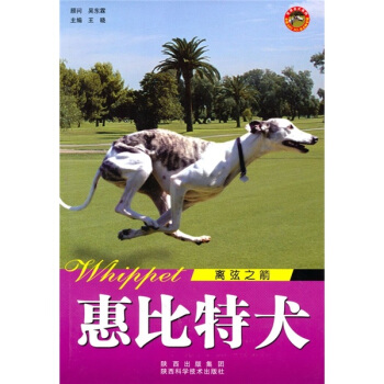 世界名犬：惠比特犬（离弦之箭） pdf epub mobi 电子书 下载
