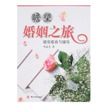 瞻望婚姻之旅——婚前教育与辅导 pdf epub mobi 电子书 下载