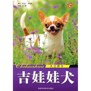 天之驕子：吉娃娃犬 pdf epub mobi 電子書 下載